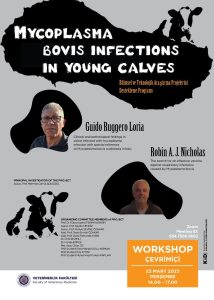 Участь в онлайн семінарі – Workshop від Університету ім. Ататюрка (Туреччина) на тему: «Mycoplasma bovis Infections in young calves»